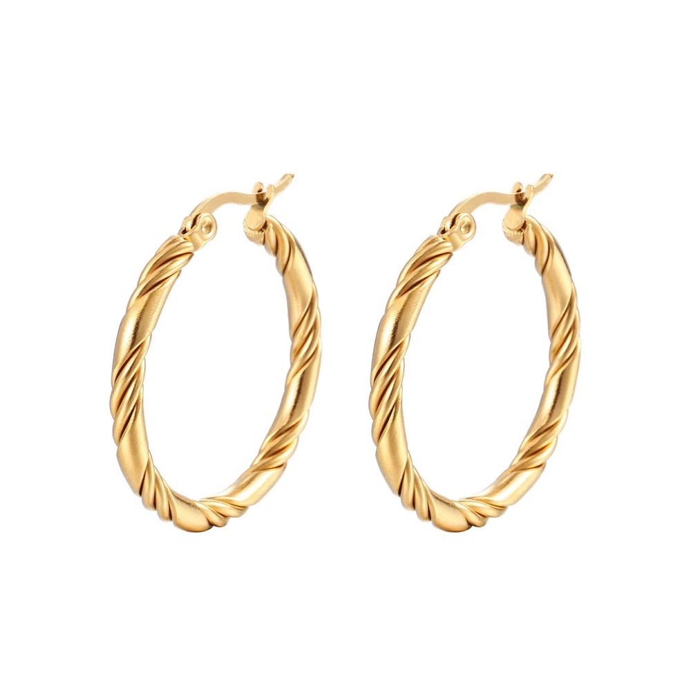 Stainless Steel 18K Gold Plating Hoop Earrings